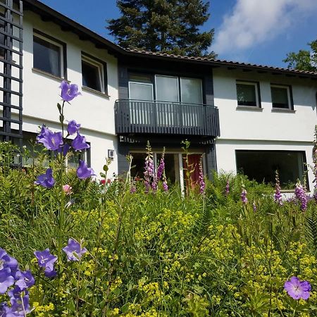 Haus am Park Stadtallendorf Exterior foto