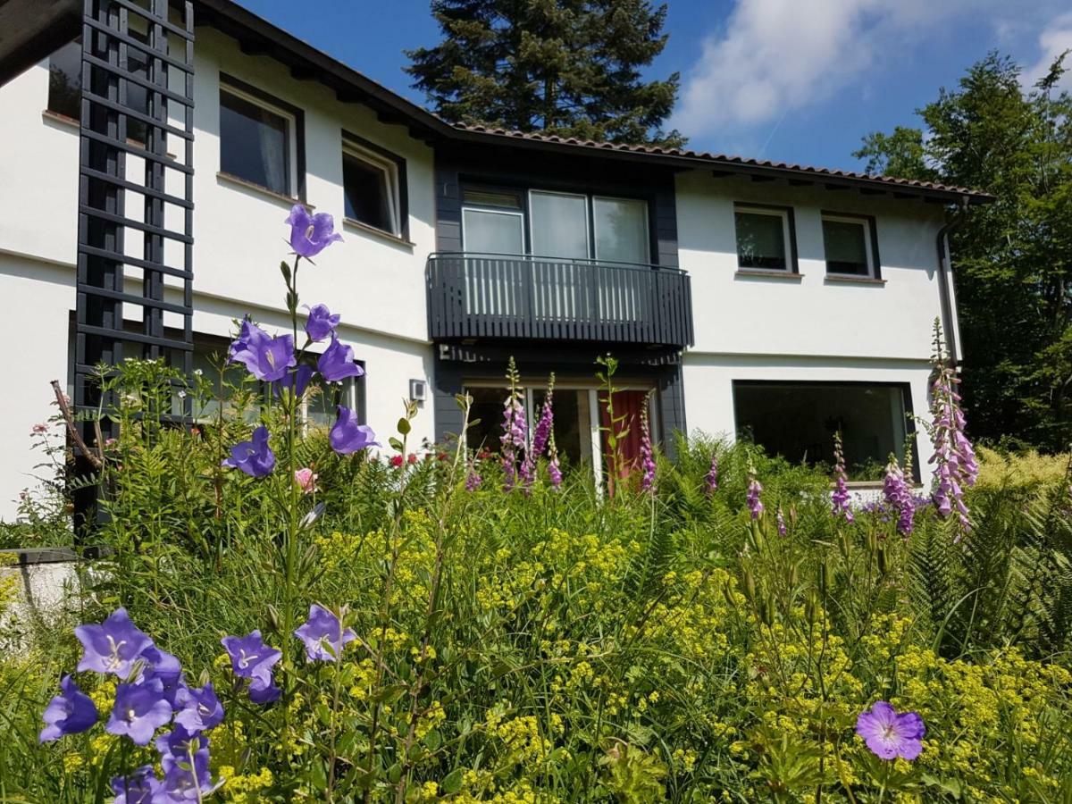 Haus am Park Stadtallendorf Exterior foto